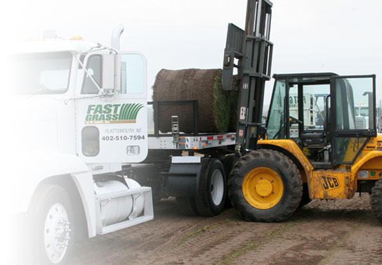 Fast Grass Semi's ready for Delivery